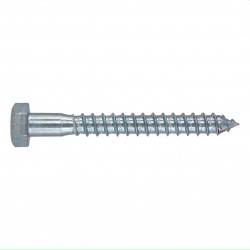 Coach Screw & Plug 8x40mm (4)