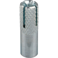 Drop In Anchor 10mm (100)